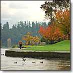 Seward Park on Lake Washington.